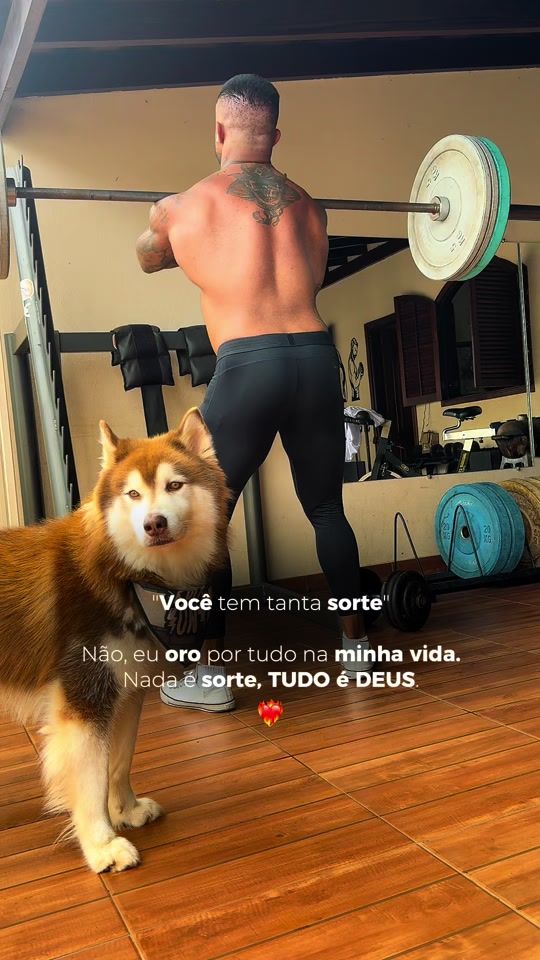 TikTok video thumbnail by renatoreis09