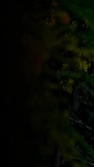 TikTok video thumbnail by _cremsyy_