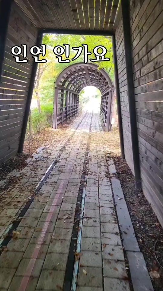 TikTok video thumbnail by user13282970458730