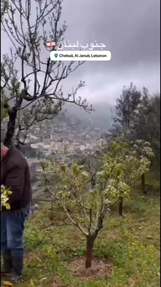 TikTok video thumbnail by bobdally12