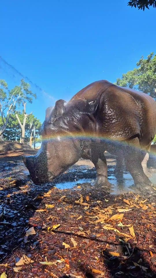 TikTok video thumbnail by tarongazoo