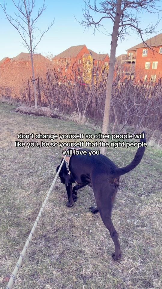 TikTok video thumbnail by a.alejo17