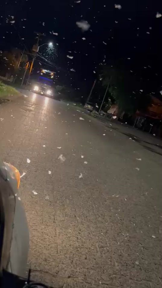 TikTok video thumbnail by manbodhr
