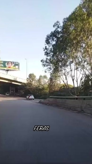 TikTok video thumbnail by sayegh.1988