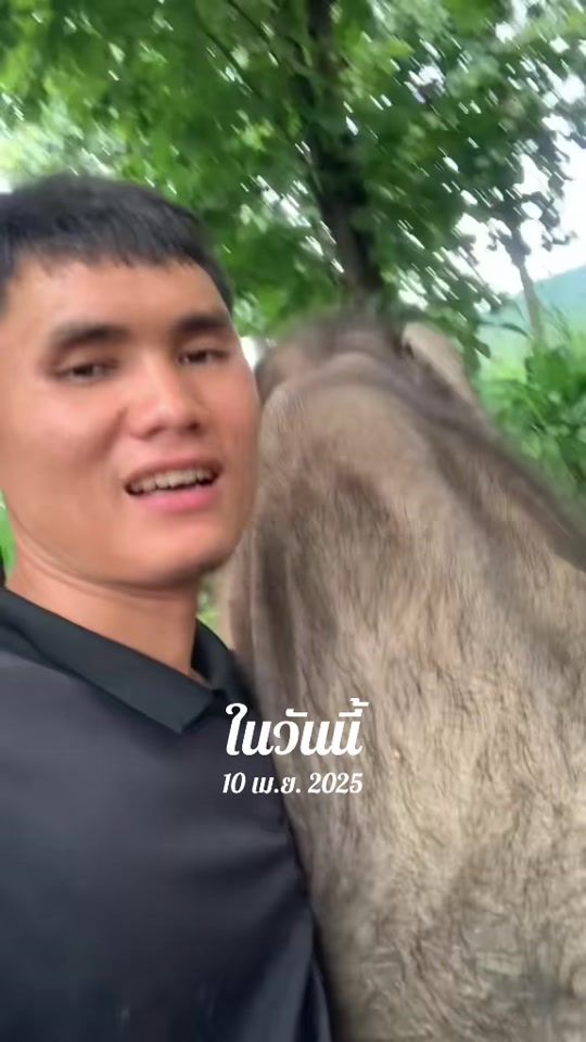 TikTok video thumbnail by chackrapat18