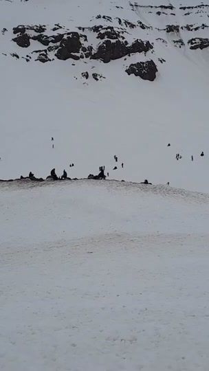 TikTok video thumbnail by cadavid21