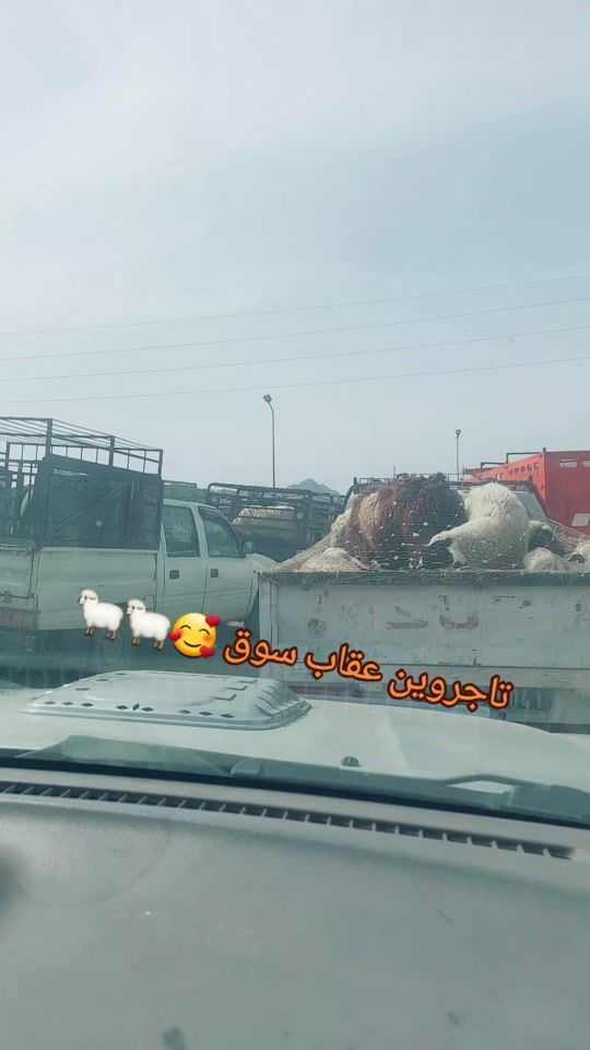 TikTok video thumbnail by hama.mhamdi223