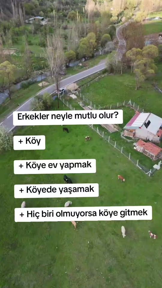 TikTok video thumbnail by ankaragibiyizz