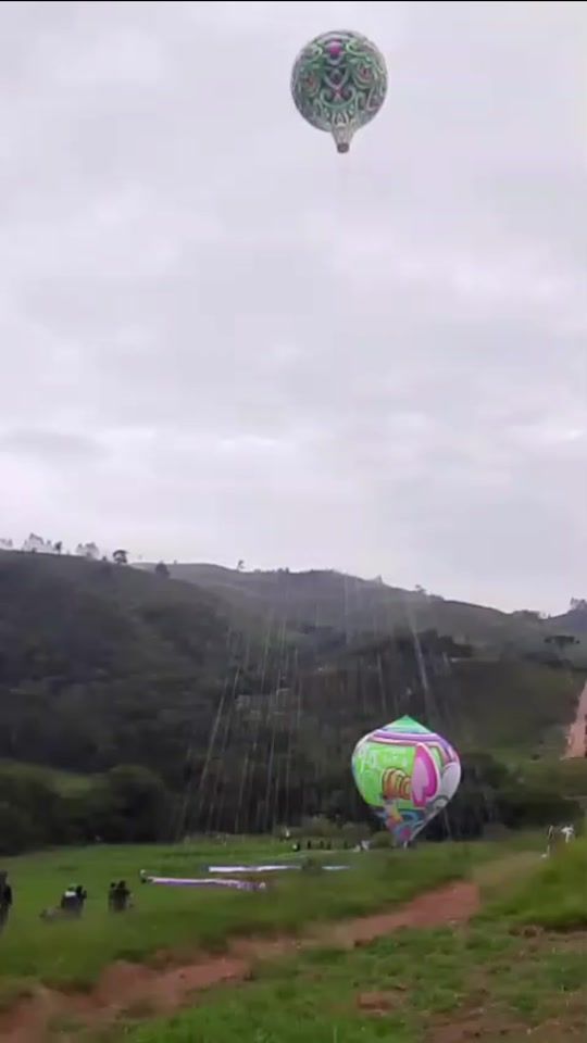 TikTok video thumbnail by soltura_e_resgate_ofc