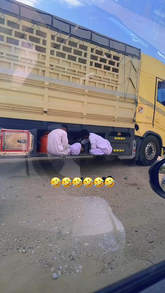 TikTok video thumbnail by saeed.taher3