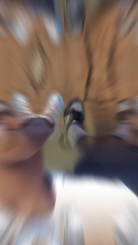 TikTok video thumbnail by alineuwase292