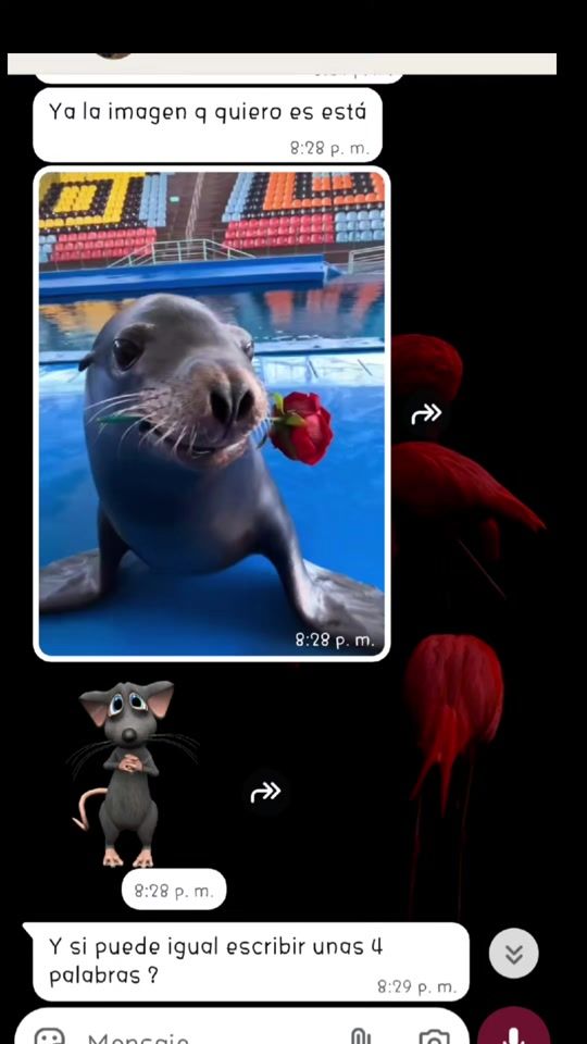 TikTok video thumbnail by momentos_mini