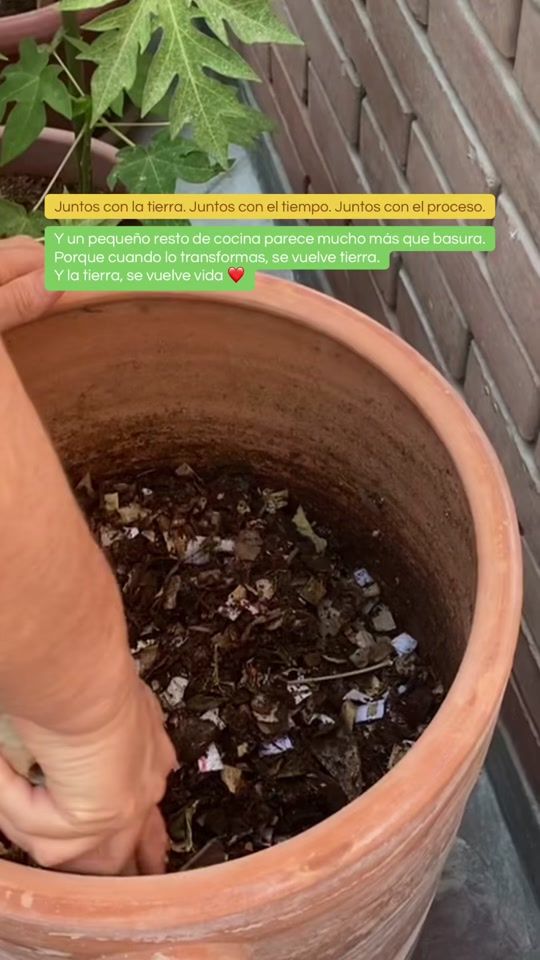 TikTok video thumbnail by tikray.compost