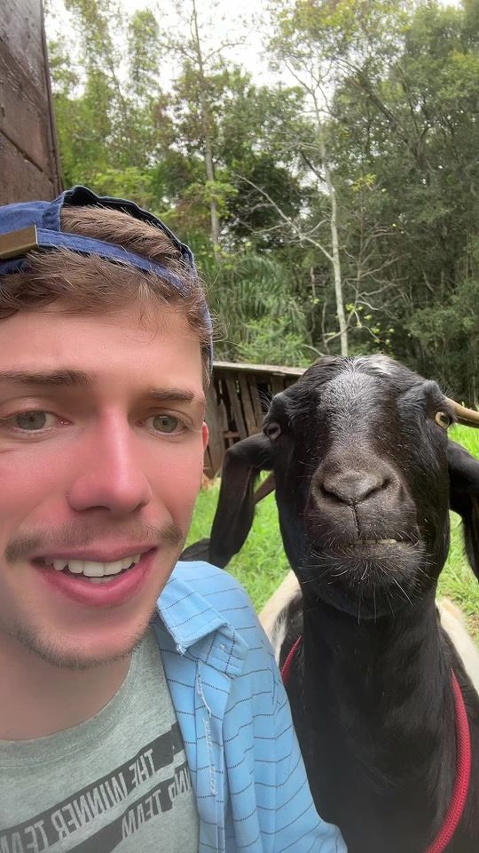 TikTok video thumbnail by danieljubnelson