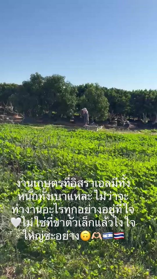 TikTok video thumbnail by aonann_31