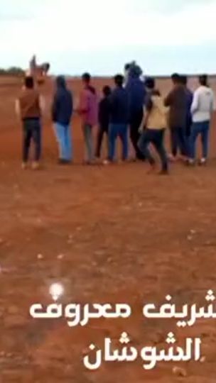 TikTok video thumbnail by aldarsi81