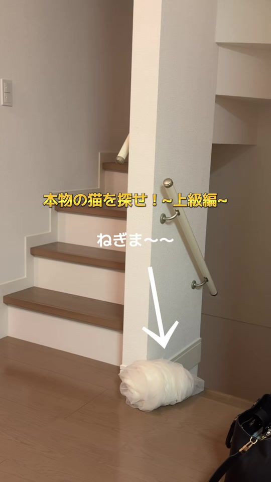 TikTok video thumbnail by negima20240223
