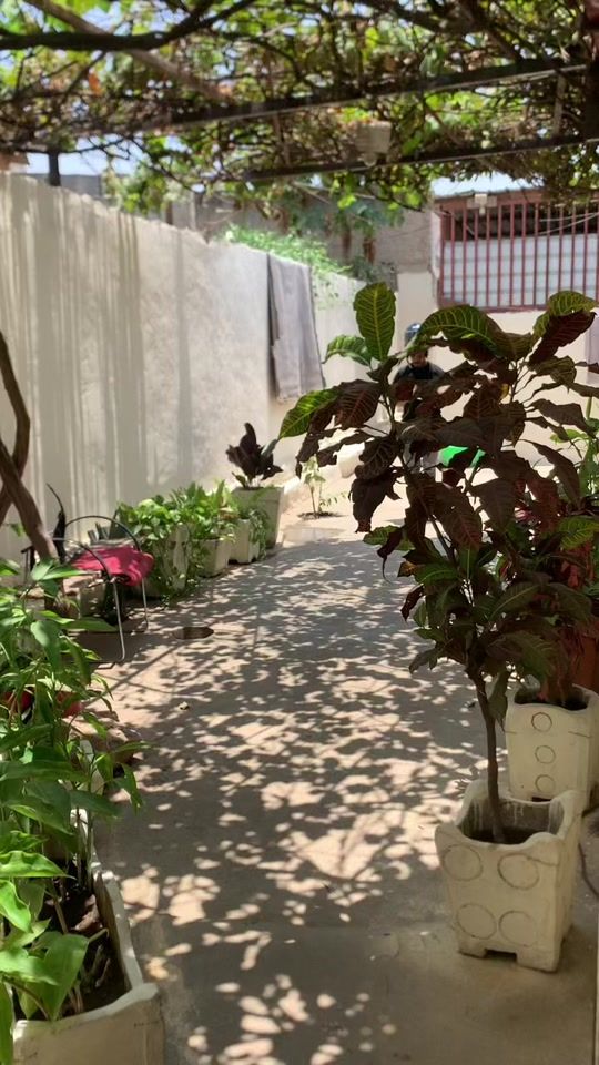 TikTok video thumbnail by marcyedna