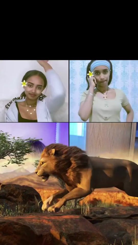 TikTok video thumbnail by ednaeleden2
