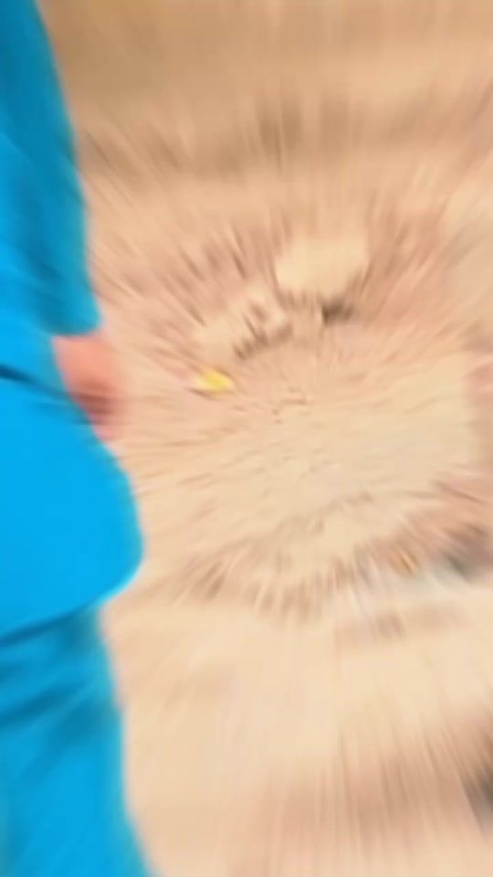 TikTok video thumbnail by ziddajoya3