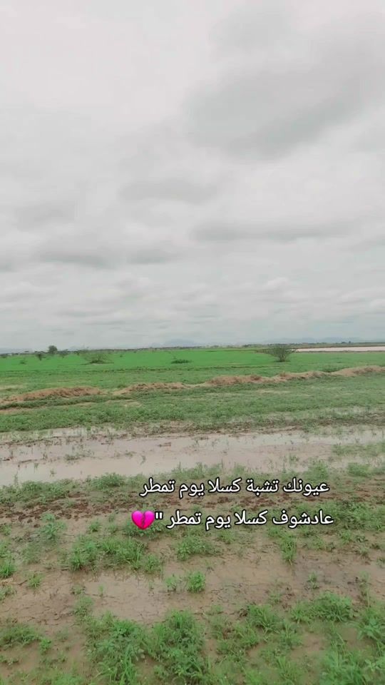 TikTok video thumbnail by mhmd12776