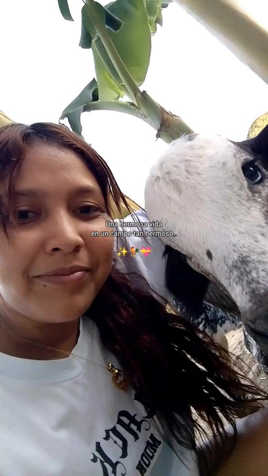 TikTok video thumbnail by larulitoss.24
