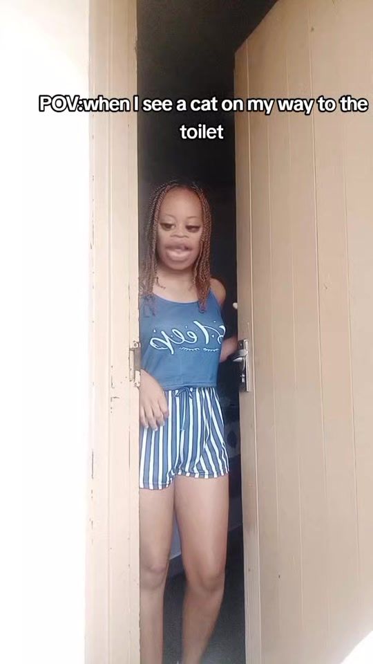 TikTok video thumbnail by lonicchamlek