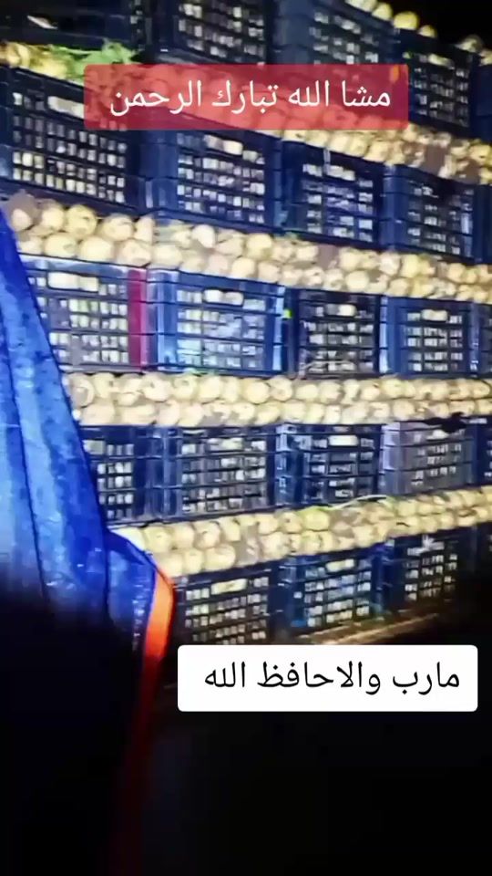 TikTok video thumbnail by .user292248561854