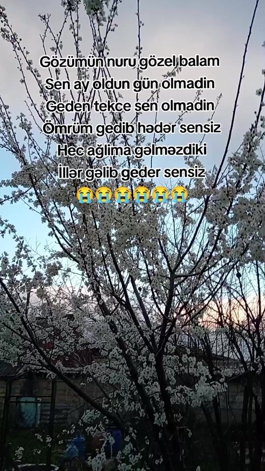 TikTok video thumbnail by aygun_94_16