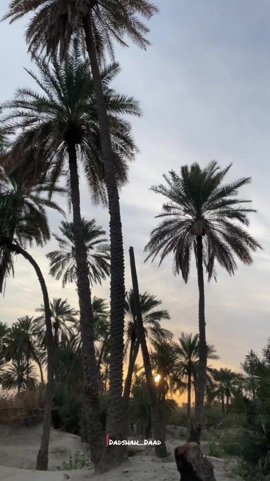 TikTok video thumbnail by dadshah_daad