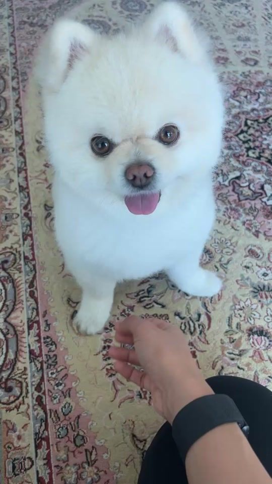 TikTok video thumbnail by __m86__