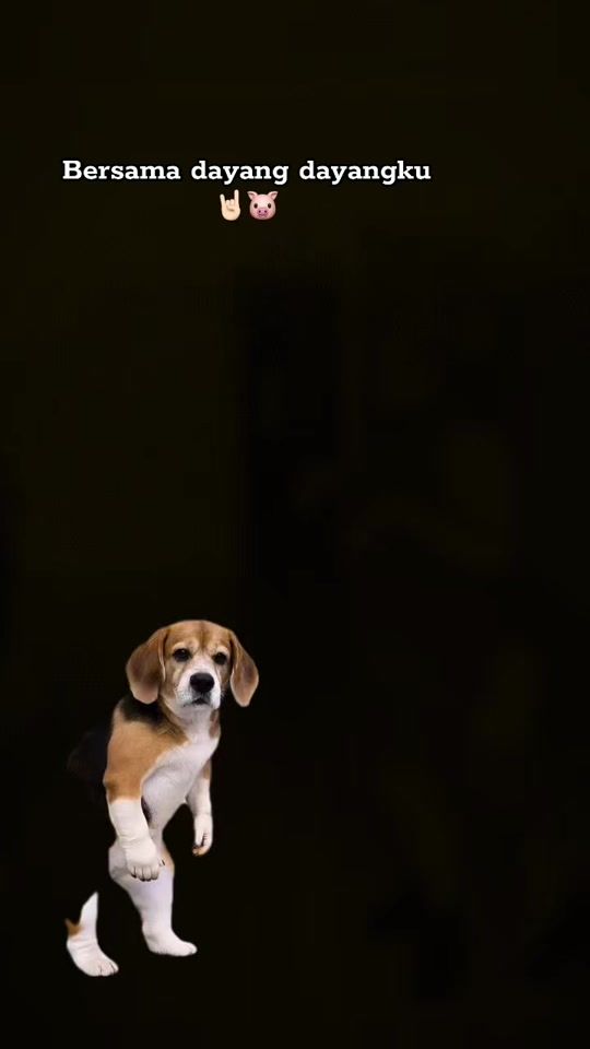 TikTok video thumbnail by nimas2907