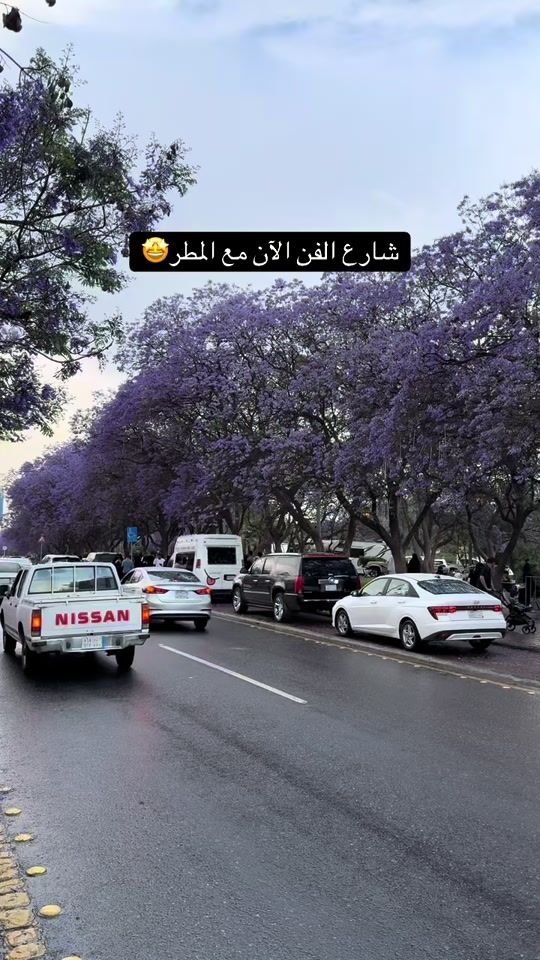 TikTok video thumbnail by i.rmz_