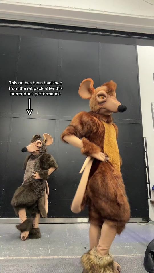 TikTok video thumbnail by troy.pepper