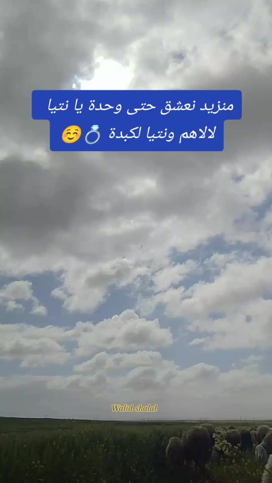 TikTok video thumbnail by walidshaala