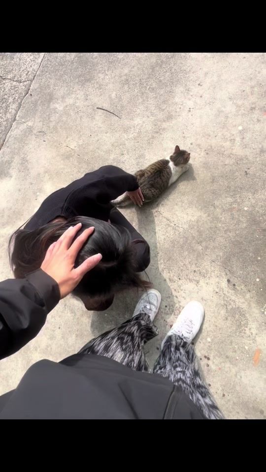 TikTok video thumbnail by 1junhe_