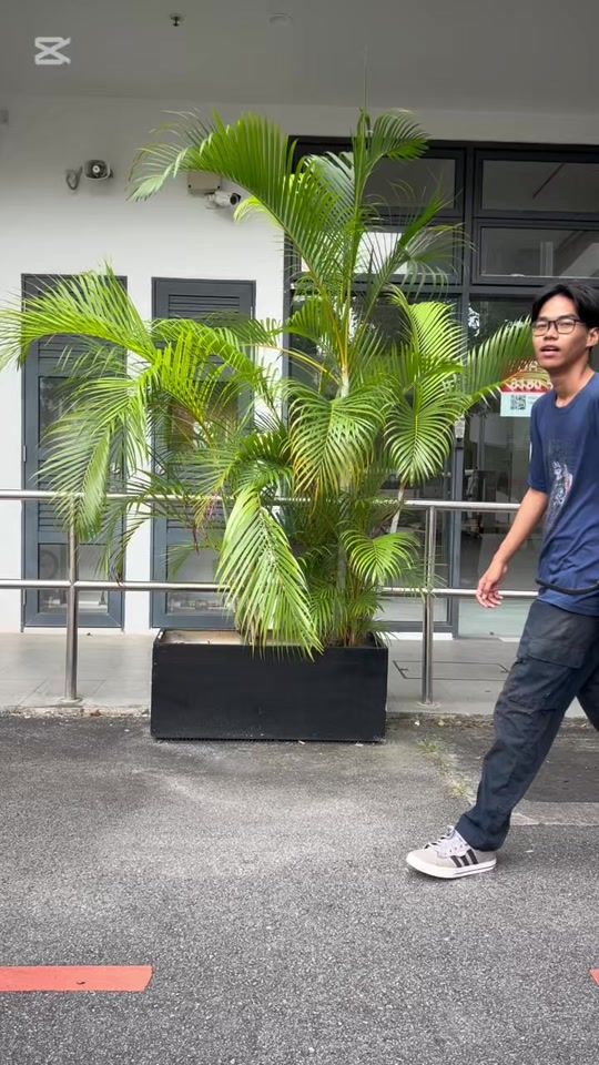 TikTok video thumbnail by warehousesg
