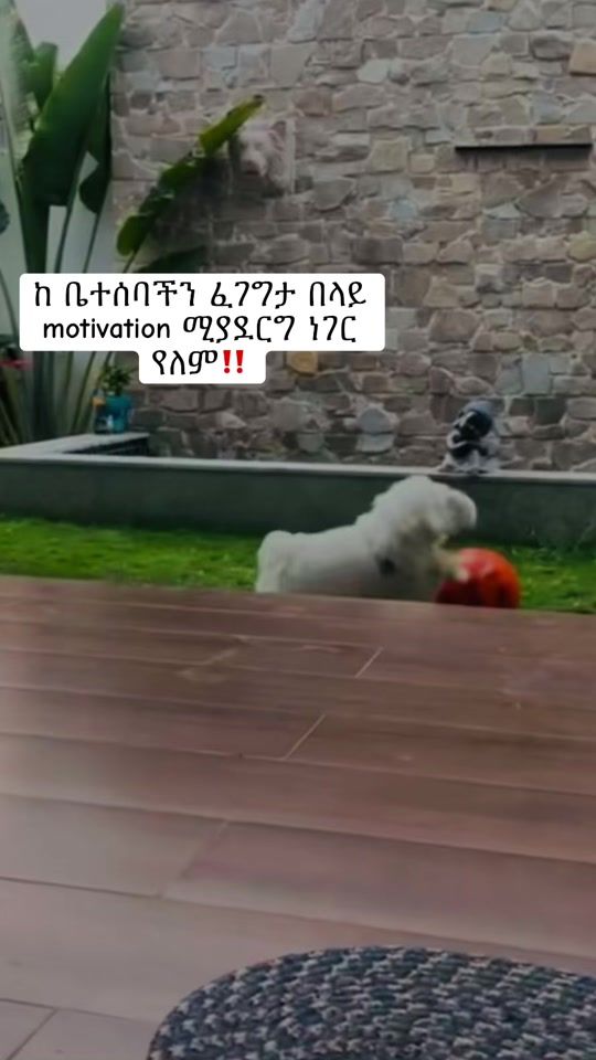 TikTok video thumbnail by mi___han2