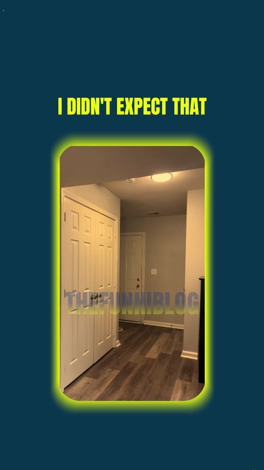 TikTok video thumbnail by thefunniblog