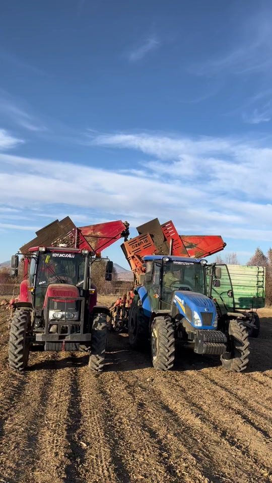 TikTok video thumbnail by cankusoglu46