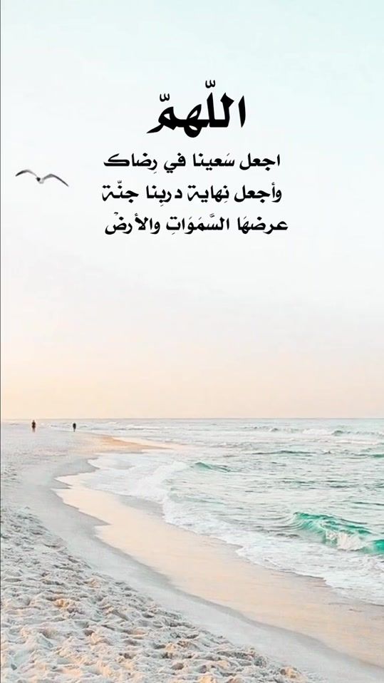 TikTok video thumbnail by aidalkshhr2535