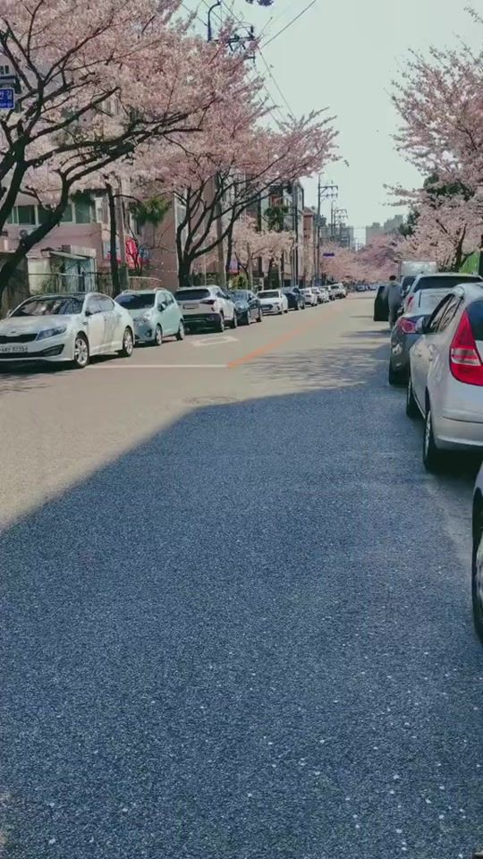 TikTok video thumbnail by hajar_korea