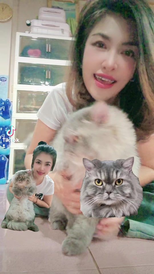 TikTok video thumbnail by inamploy
