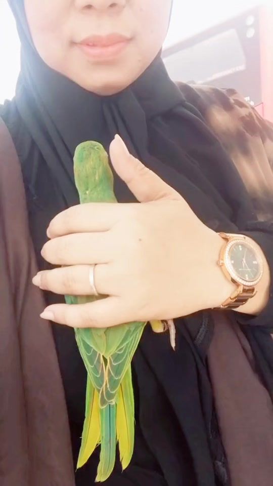 TikTok video thumbnail by umzaina7