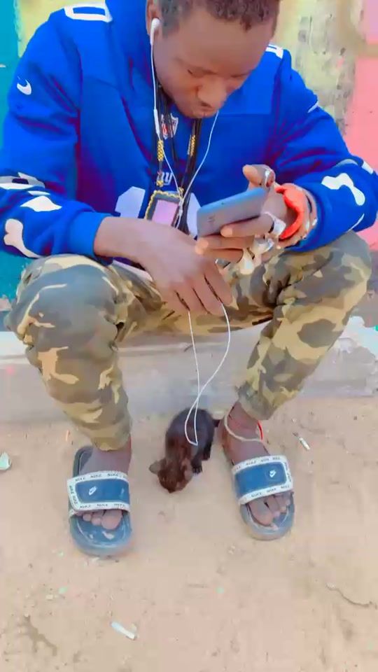 TikTok video thumbnail by baye.fallou.seye.b