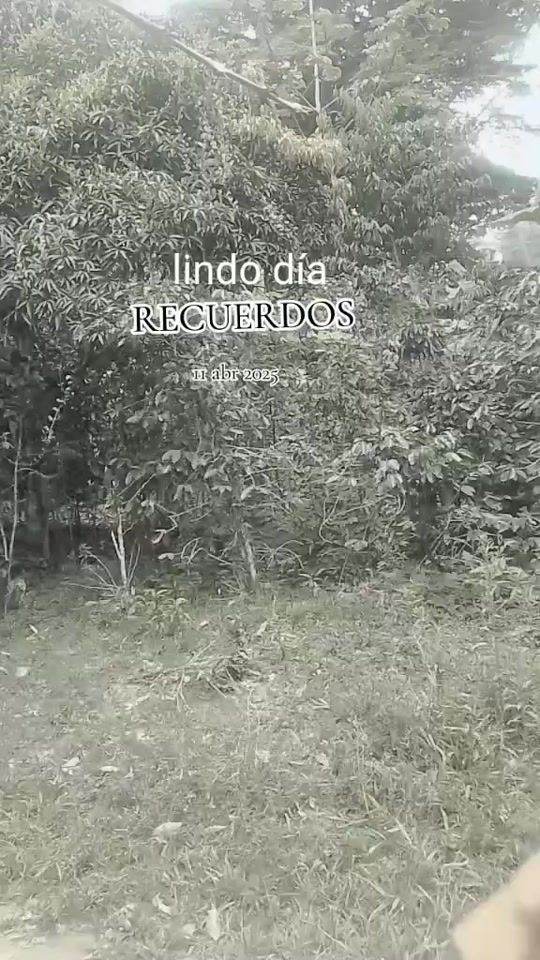 TikTok video thumbnail by sinlimites643
