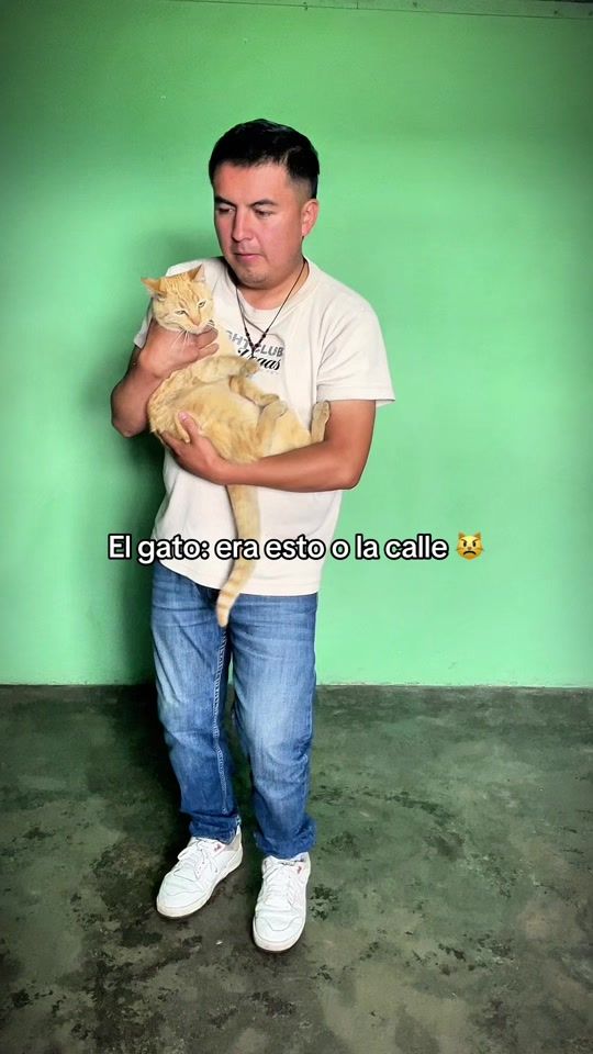 TikTok video thumbnail by erick_armando.3