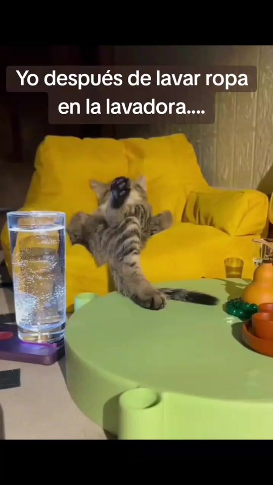 TikTok video thumbnail by lylyanht