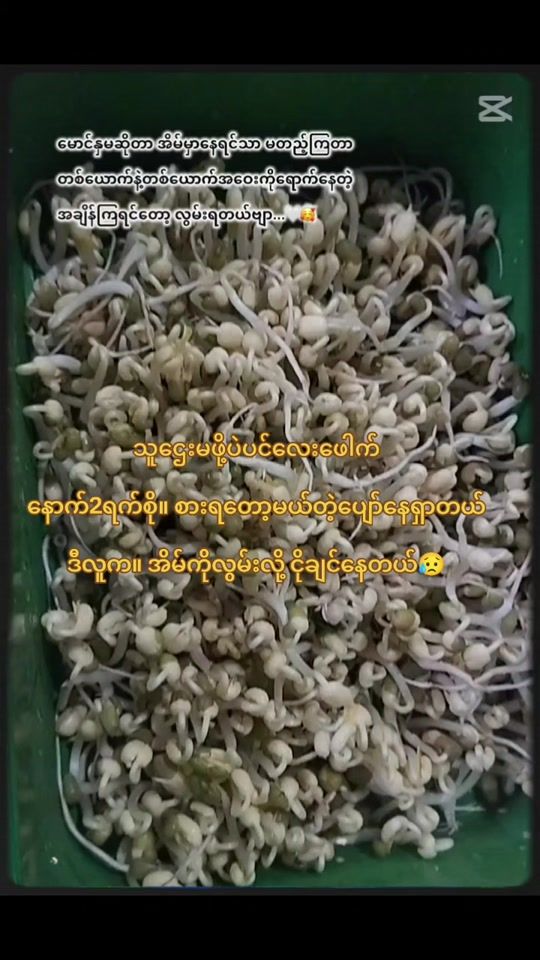 TikTok video thumbnail by blackflower984