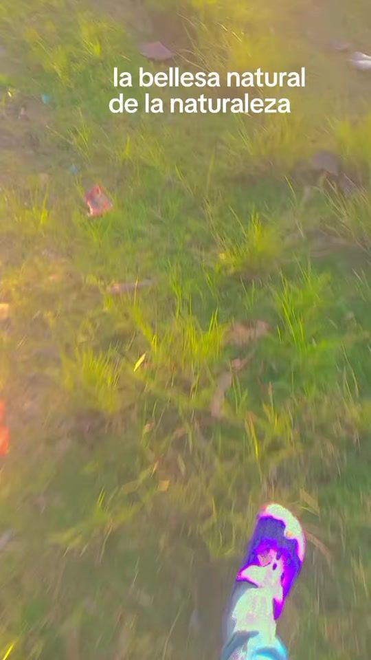 TikTok video thumbnail by povcherifladrador